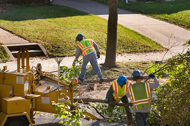 Best Lawn Watering Services  in Daytona Beach Shores, FL